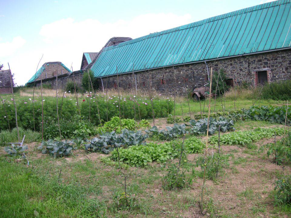 Atelier découverte des « Jardins Partagés de Villers-la-Ville », ses parcelles, son rucher et son&nbsp;verger