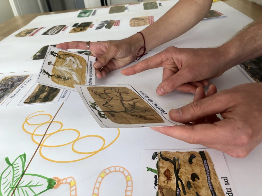 Atelier des Sols Vivants – Une fresque sur les sols et l&rsquo;agriculture