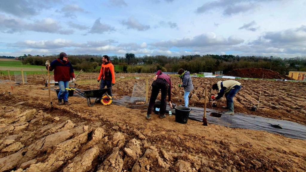 Chantier participatif avec Les Brigades d&rsquo;Actions Paysannes – La Clarotte Sauvage/Le Navet qui&nbsp;Ry