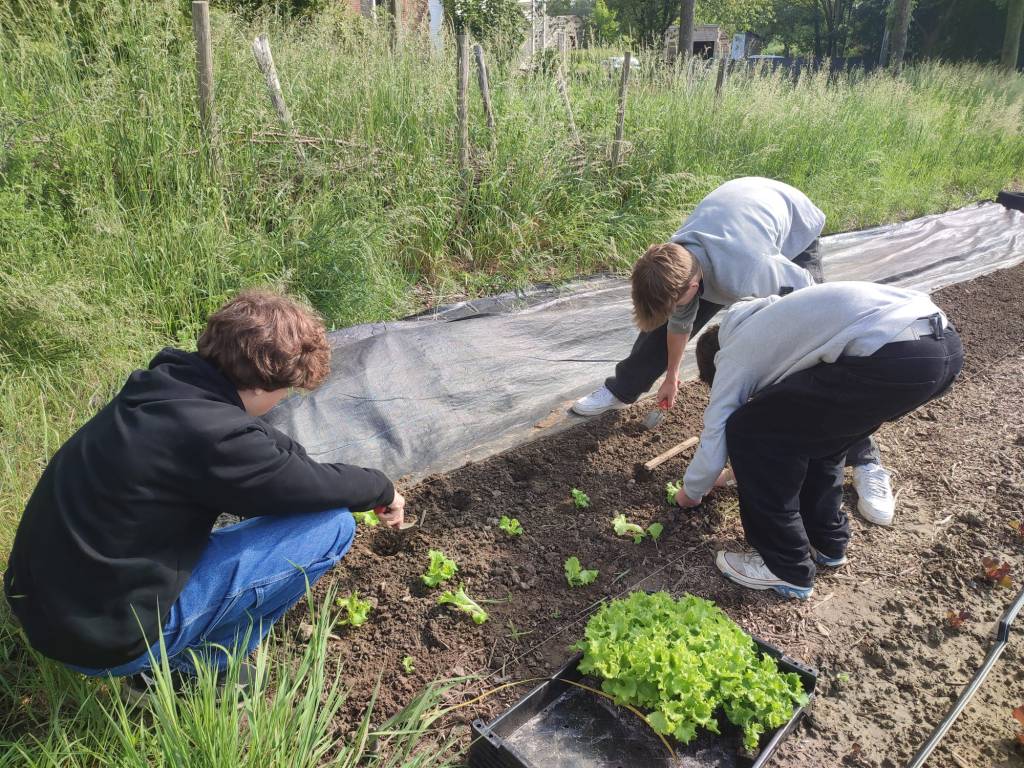 Quand petit·es et grand·es explorent l&rsquo;alimentation durable, de l&rsquo;École au Potager&nbsp;!
