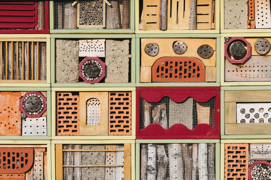 Inviter la biodiversité au champ – Les Légumes de&nbsp;Seb