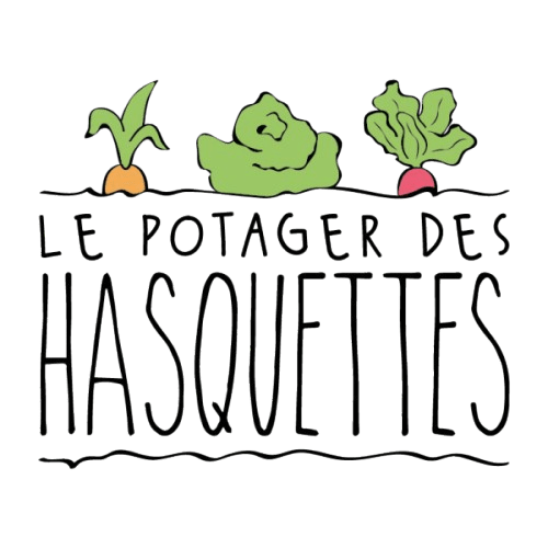 Visite guidée du champ – Potager des&nbsp;Hasquettes