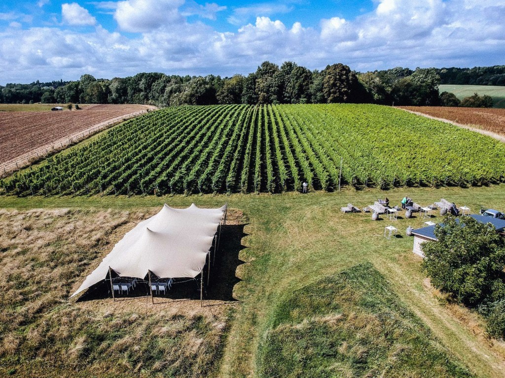 Balades à la découverte des 3 vignobles de Villers-la-Ville