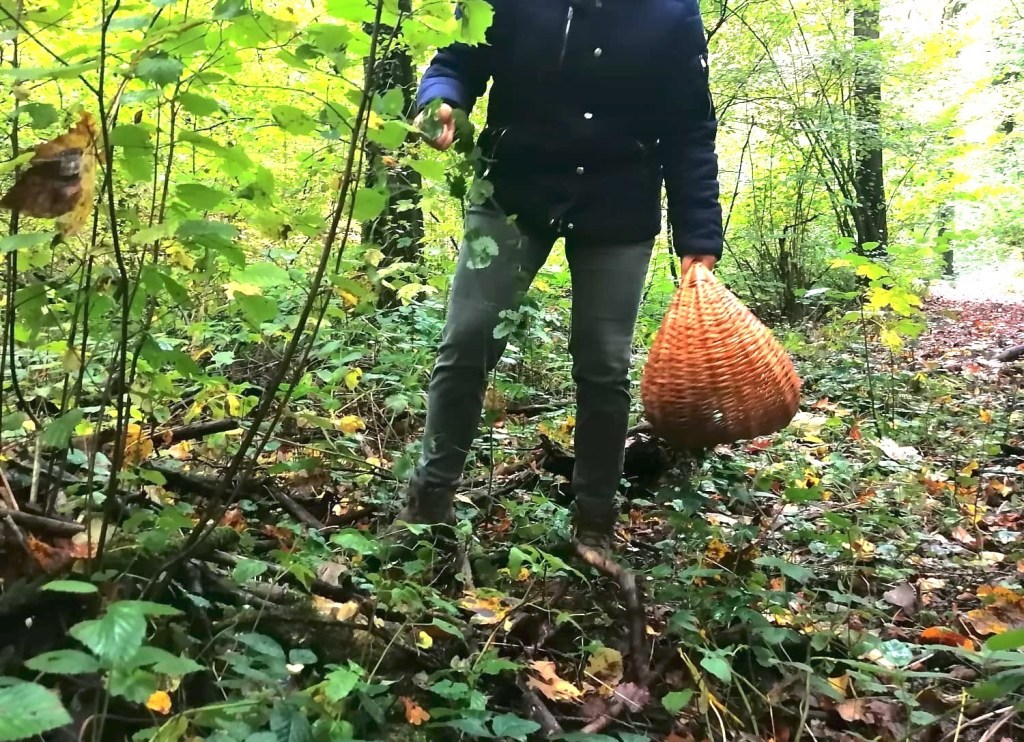 Atelier printemps et plantes sauvages par Milena &&nbsp;Sophie