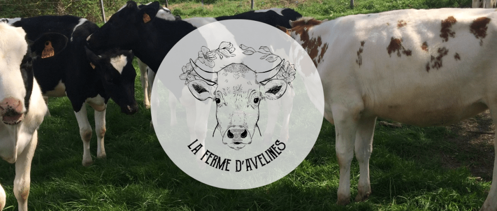 Portes ouvertes Ferme d&rsquo;Avelines, dégustation et visite des vaches (sous réserve que les vaches soient dans le&nbsp;champ)