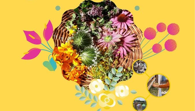 Immersion en herboristerie paysanne – Sacrées&nbsp;végétales